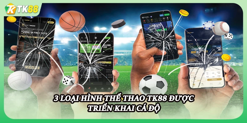 3 loại hình thể thao TK88 được triển khai cá độ